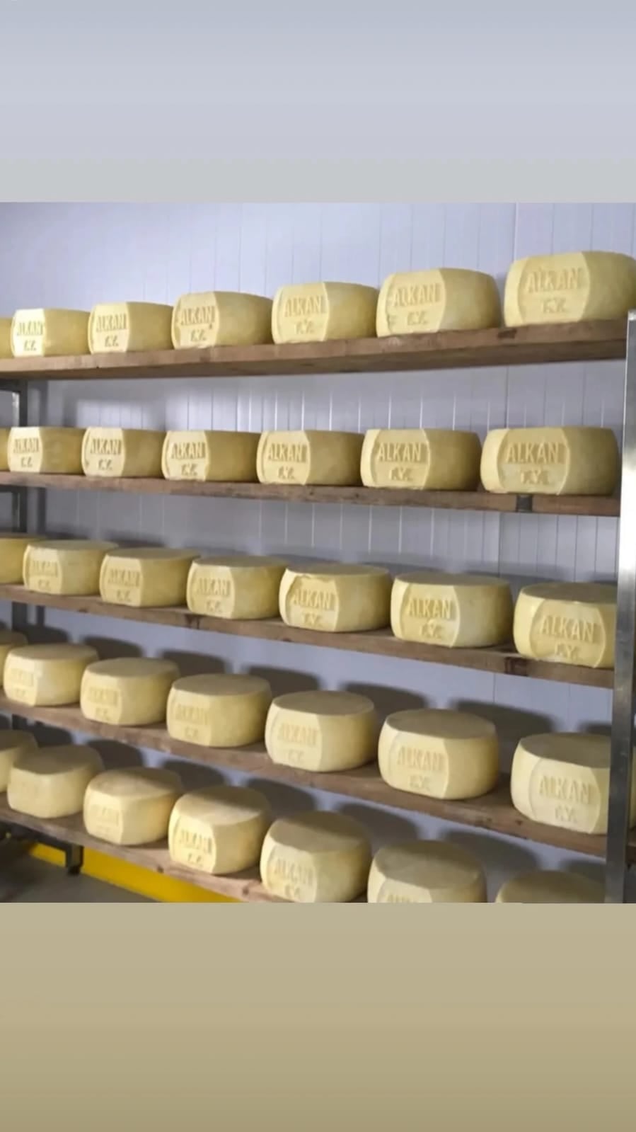 ALKAN MAYIS ESKİ KAŞAR